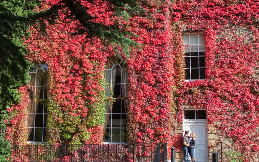Autumn Engagement Shoot